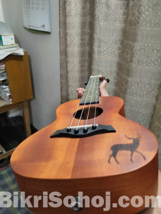 Ukulele 24inc
